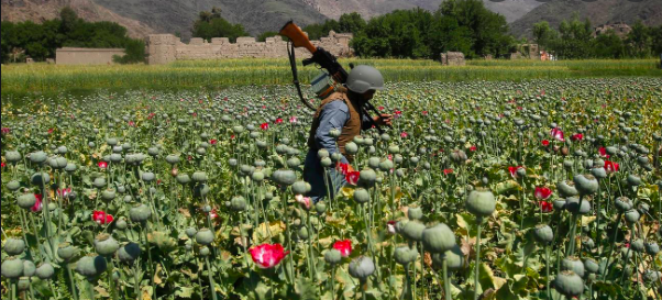 افغانستان ، جنگ بیومتریک آغاز می شود