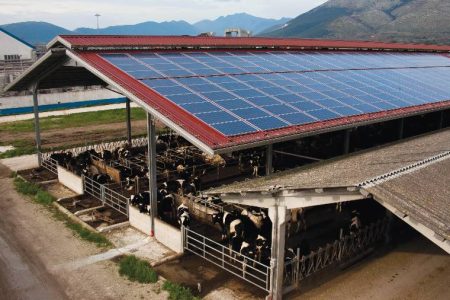 MiPAAF: PNRR programı tarafından öngörüldüğü gibi, tarımsal çatılarda fotovoltaik çağrısı boru hattında