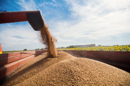 Navi Ue per trasportare il grano?  Una soluzione complicata senza il via libera di Russia e Turchia