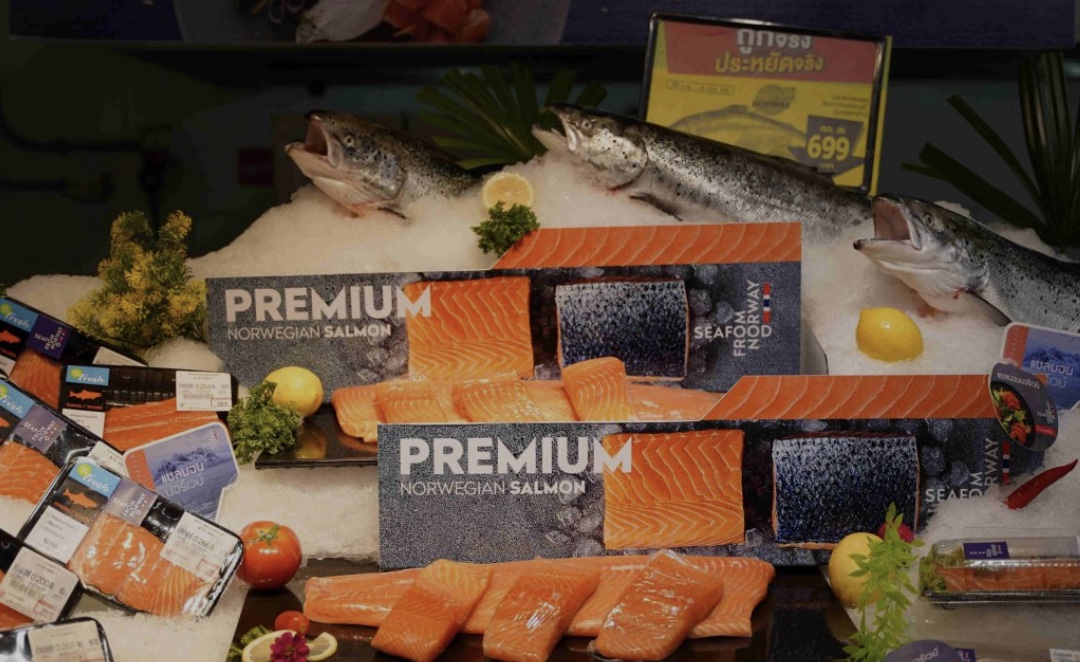 Norwegian Seafood council: “Esportiamo salmone e mackerel in Italia e Africa”